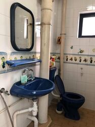 Blk 137 Petir Road (Bukit Panjang), HDB 3 Rooms #512880191
